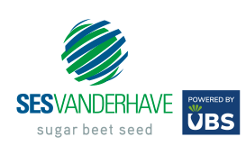 SESVANDERHAVE